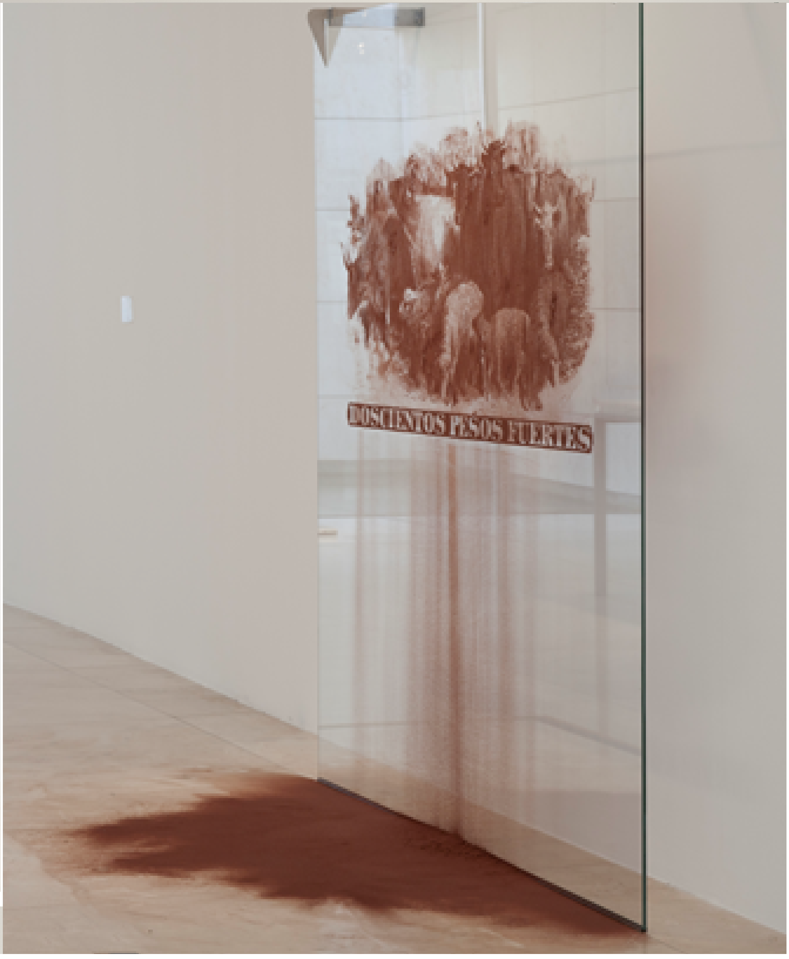 Cristina Piffer                                                                                                                                                     200 pesos fuertes, de la serie Las marcas del dinero, 2010                                                                                Serigrafía, pigmento y sangre bovina deshidratada  sobre vidrio y ganchos de acero inoxidable                                     medidas en cm:   190 x 210 x 25 Colección de la artista Piezas realizadas a partir de la iconografía del papel moneda emitido por el Banco de la Provincia de Buenos Aires a finales del siglo XIX.
