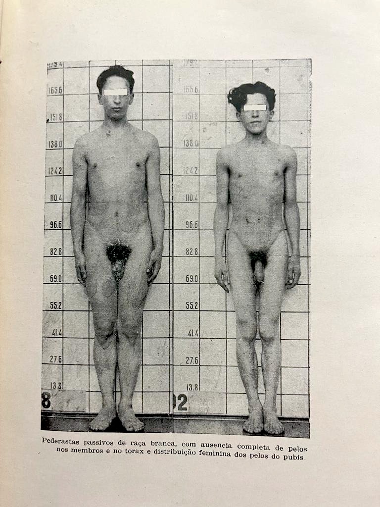 Imagen de portada